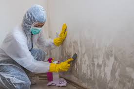  , USA Mold Remediation Pros